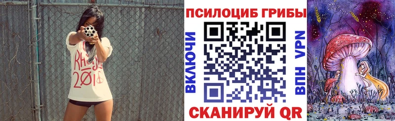 где найти наркотики  Заводоуковск  Галлюциногенные грибы Cubensis 